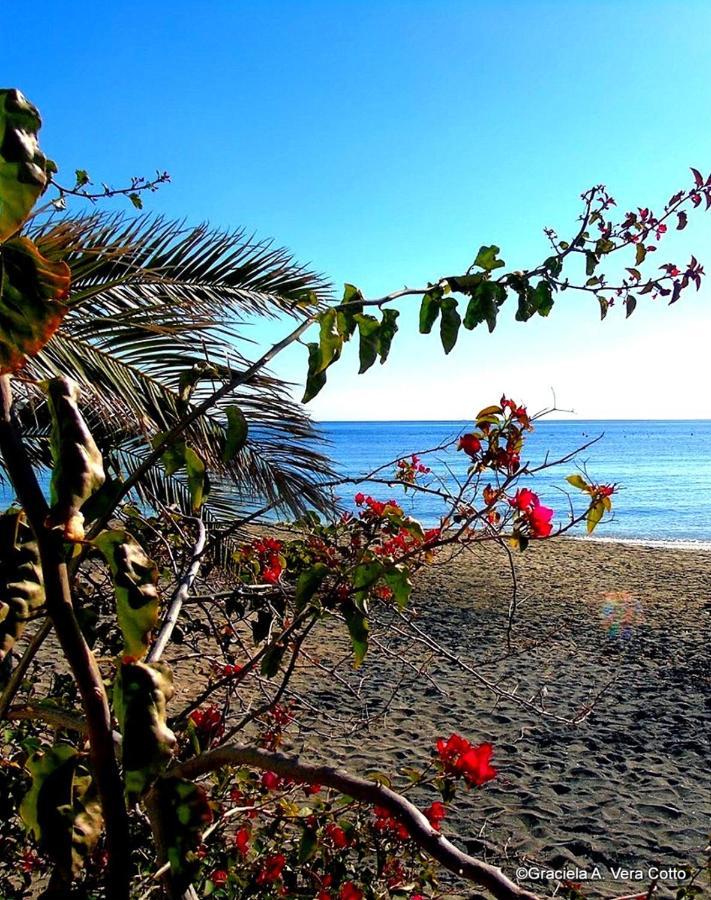 La Palmera. El Amanecer En El Parque Natural Hotel Agua Amarga  Exterior foto